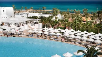 Palm Azur