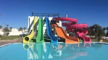 Palm Azur