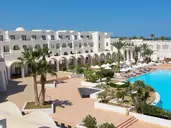 Palm Azur