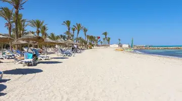 Palm Azur