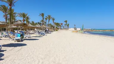 Palm Azur
