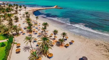 Palm Azur