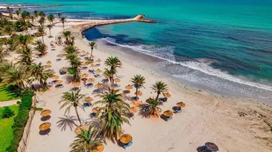 Palm Azur