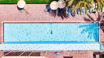 Palm Azur
