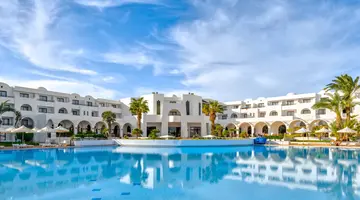 Palm Azur