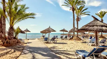 Palm Azur