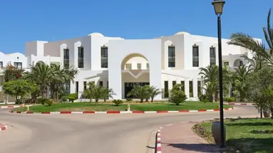 Palm Azur