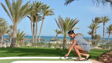 Palm Azur