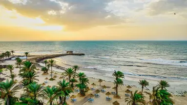Palm Azur
