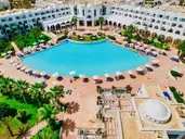 Palm Azur