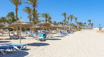Palm Azur