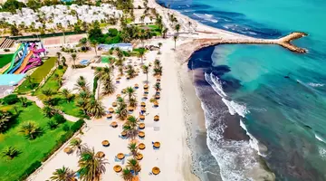 Palm Azur