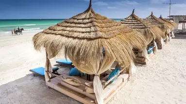 PALM BEACH CLUB