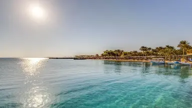 Palm Beach Resort