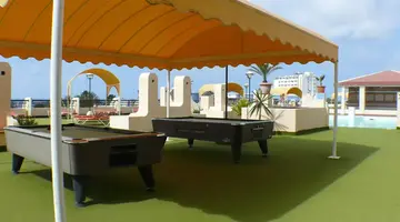Palm Garden