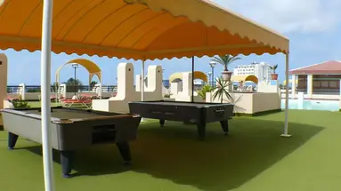 Palm Garden