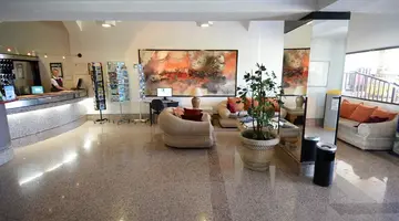 Palm Garden
