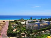 Palm Garden