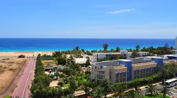 Palm Garden
