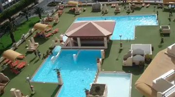 Palm Garden