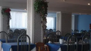 Palm Garden