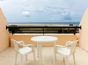 Palm Garden