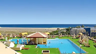 Palm Garden