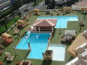 Palm Garden