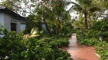 PALM HILL RESORT PHU QUOC