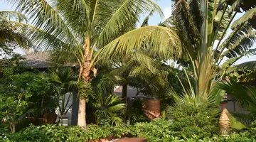 PALM HILL RESORT PHU QUOC