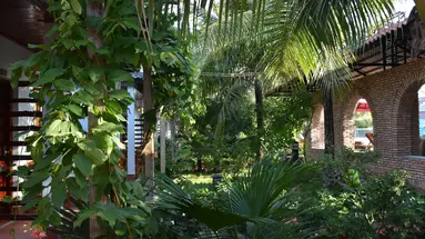 PALM HILL RESORT PHU QUOC