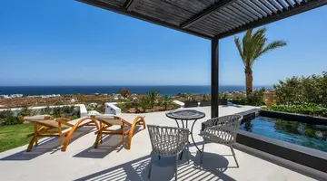 Palm Island Suites