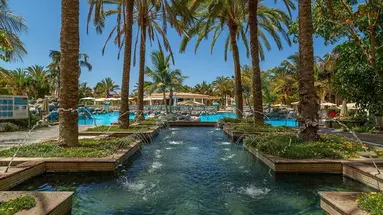 Palm Oasis Maspalomas