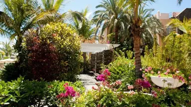 Palm Oasis Maspalomas