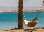 Palm Royale Resort Soma Bay (ex.sentido)