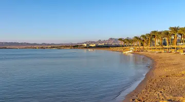 Palm Royale Resort - Soma Bay