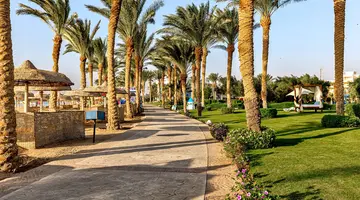 Palm Royale Resort - Soma Bay