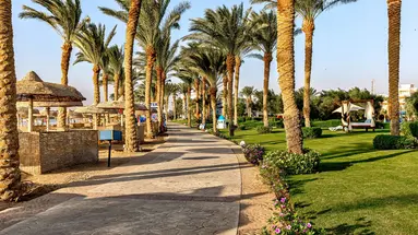 Palm Royale Resort - Soma Bay