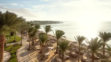 PALM ROYALE SOMA BAY