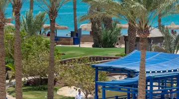 Palm Royale Soma BaY
