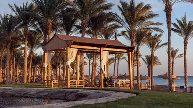 PALM ROYALE SOMA BAY