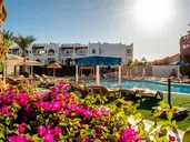 PALMA DI SHARM HOLLYWOOD