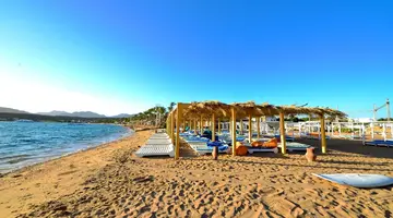 PALMA DI SHARM HOLLYWOOD