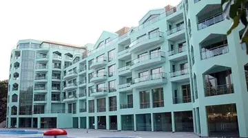 Palma
