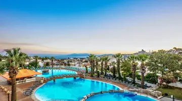 Palmin Hotel