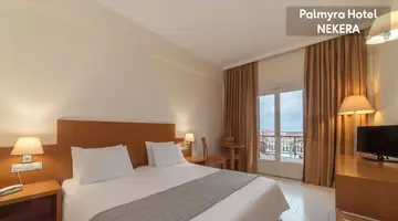 Palmyra Hotel