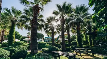 Paloma Oceana Resort (ex Paloma Beach)