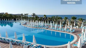 PALOMA OCEANA