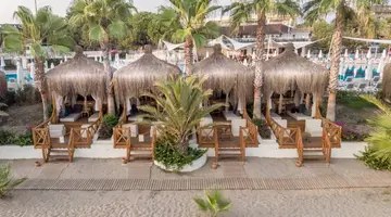 PALOMA OCEANA