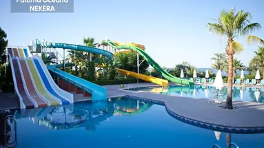 PALOMA OCEANA